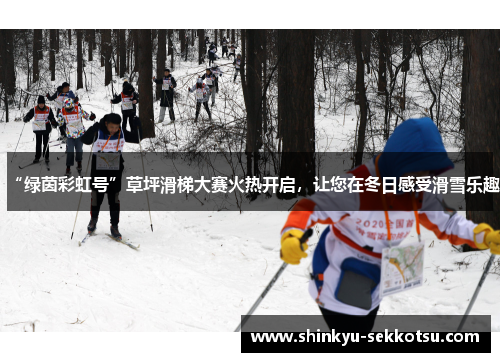 “绿茵彩虹号”草坪滑梯大赛火热开启，让您在冬日感受滑雪乐趣